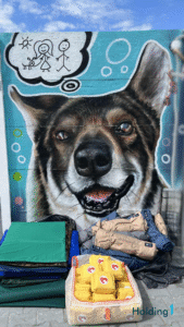 Holdingowe maszyny dla futrzaków - przekazanie darów